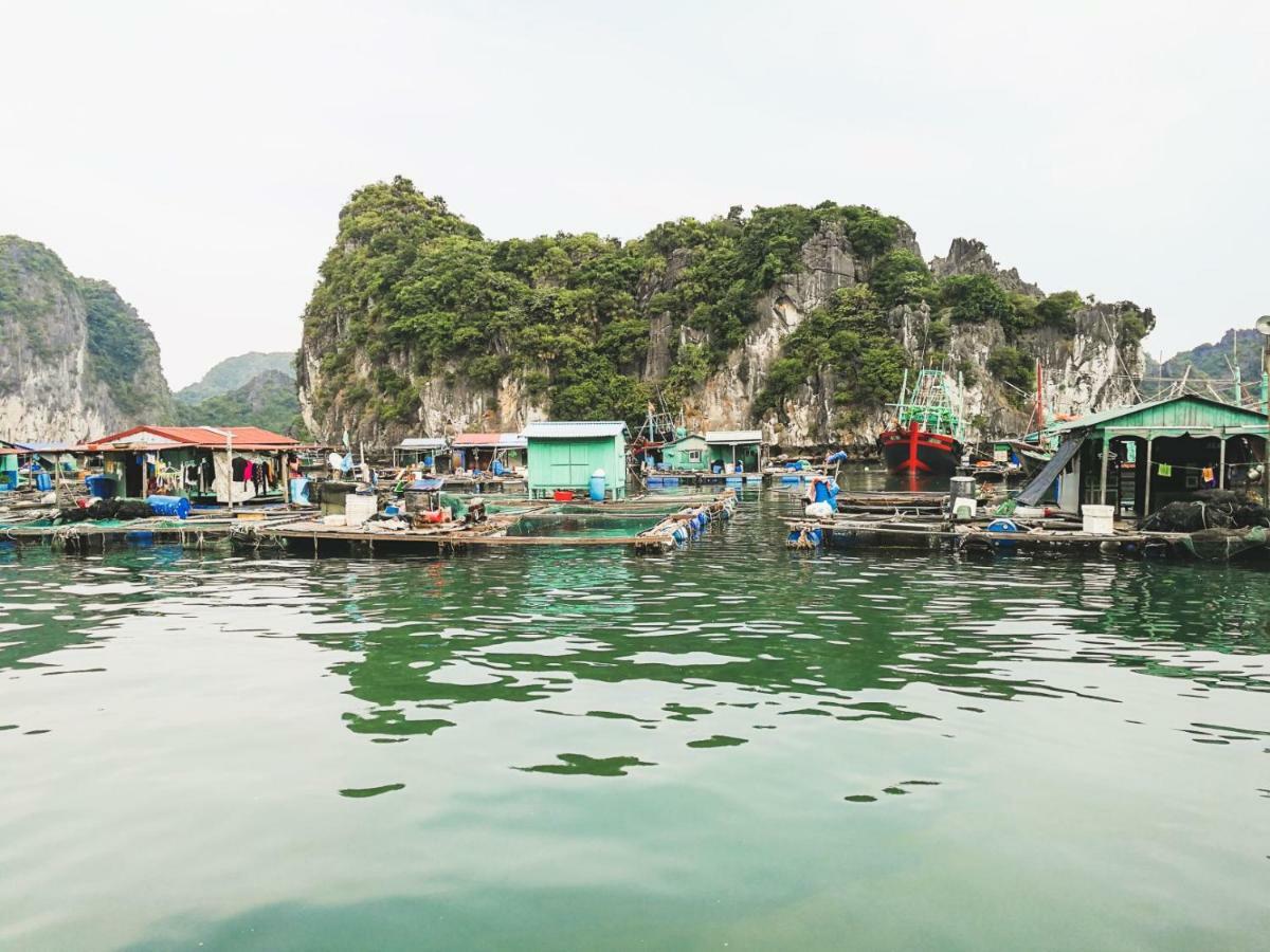 Heritage Line Ylang Cruise - Halong Bay & Lan Ha Bay Hạ Long Exterior foto