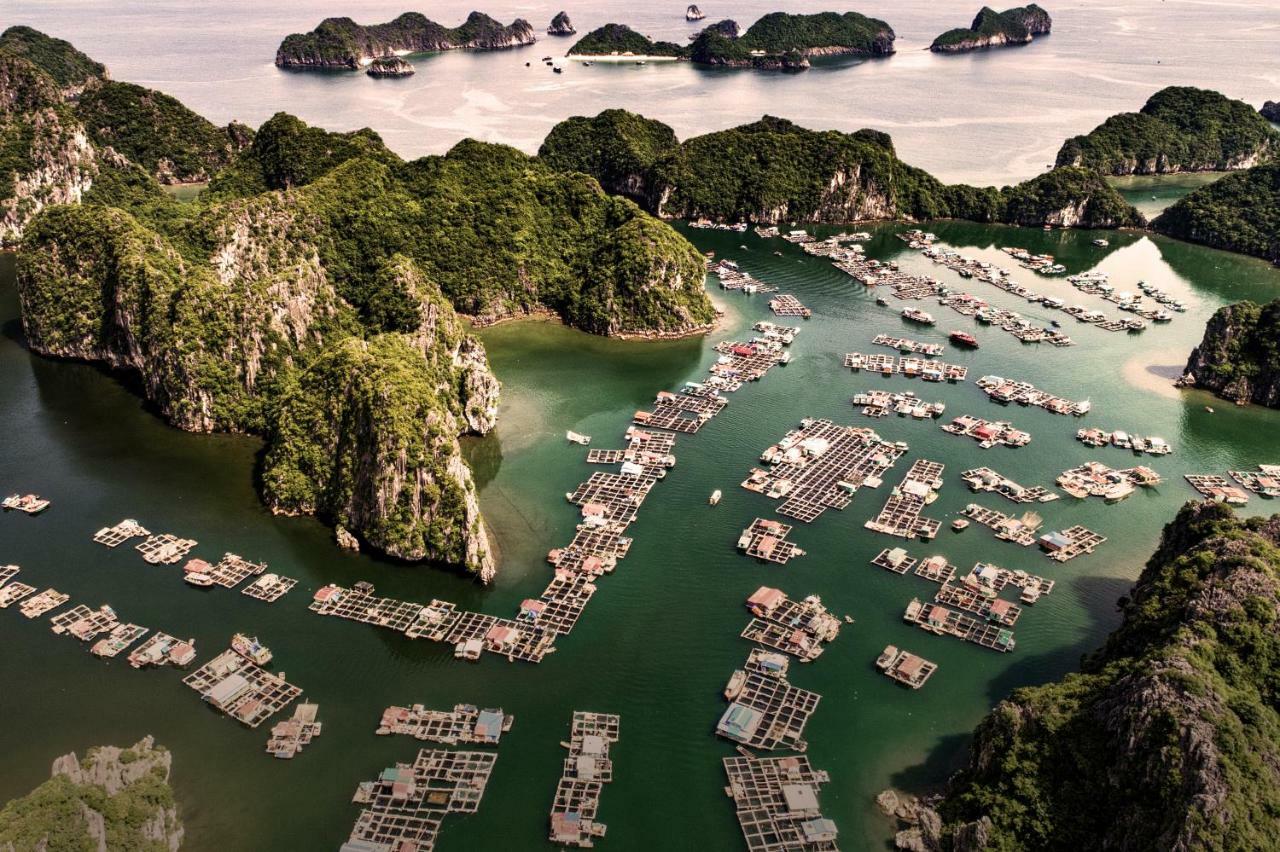 Heritage Line Ylang Cruise - Halong Bay & Lan Ha Bay Hạ Long Exterior foto