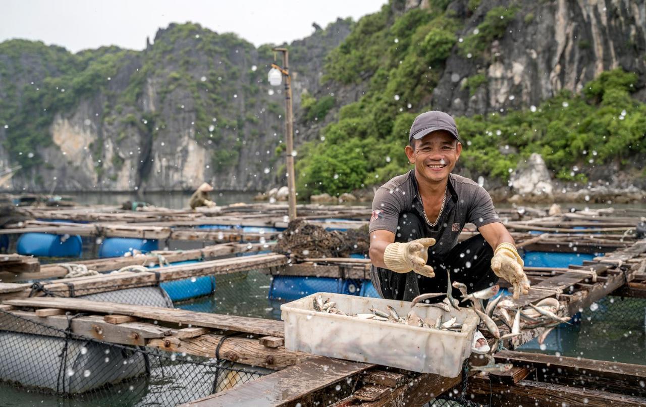 Heritage Line Ylang Cruise - Halong Bay & Lan Ha Bay Hạ Long Exterior foto